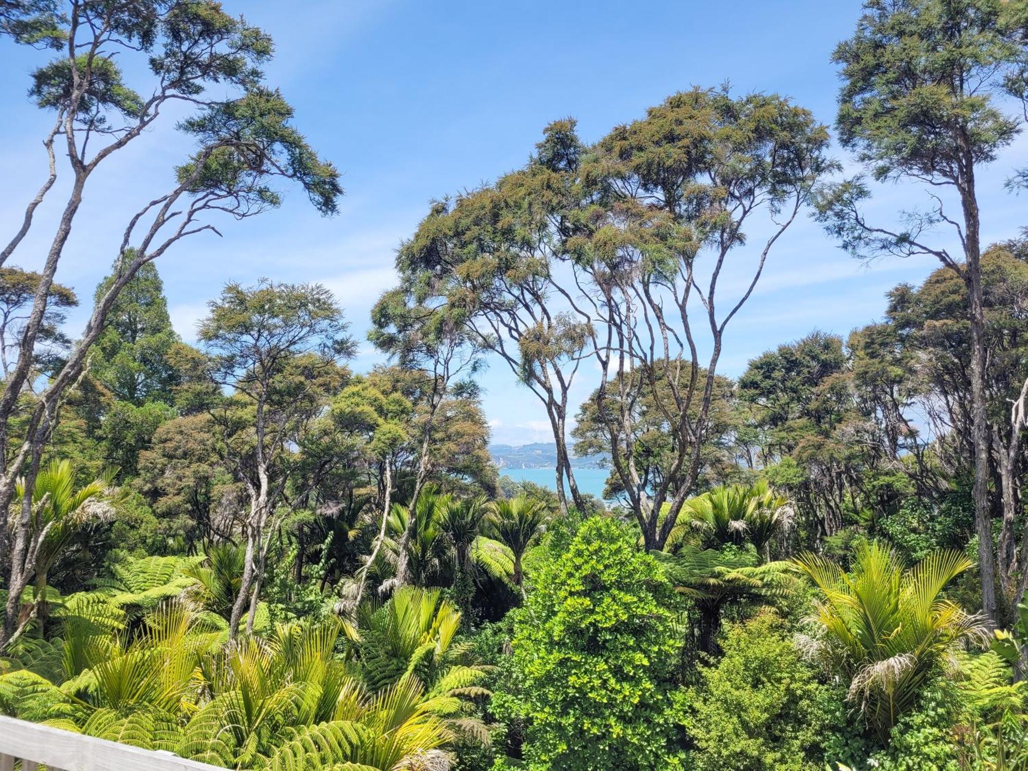 Annabells B&B Whitianga Dış mekan fotoğraf