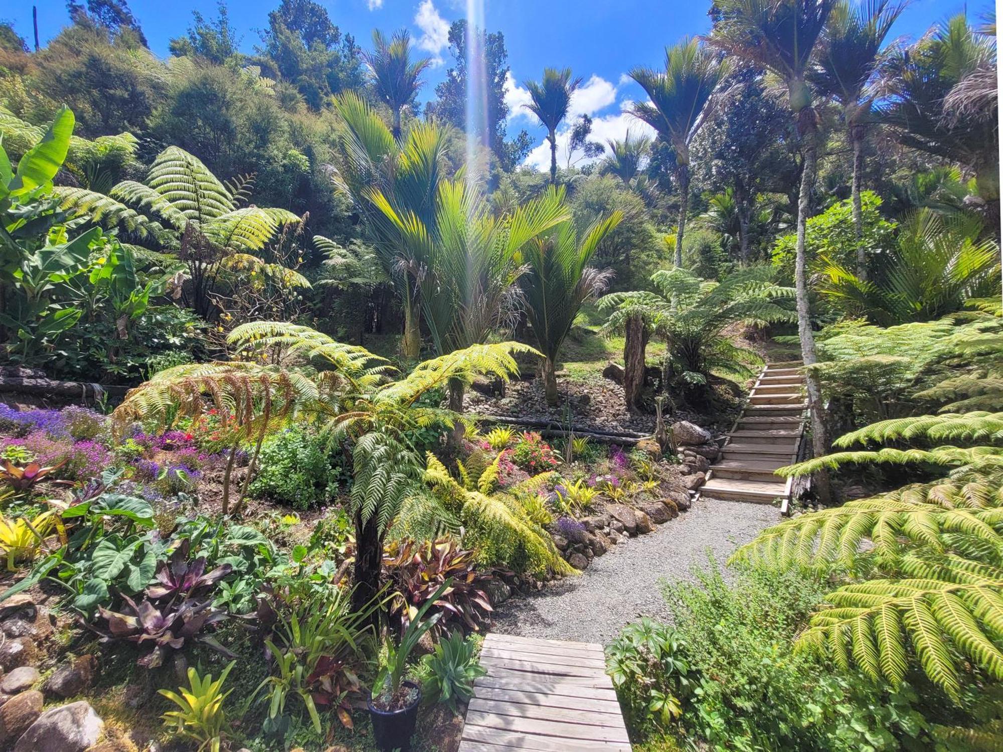 Annabells B&B Whitianga Dış mekan fotoğraf